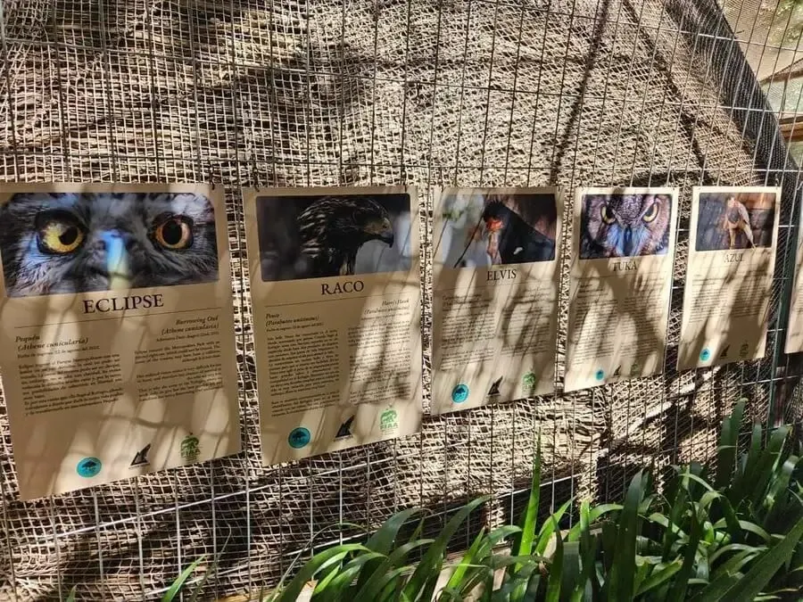 Information panels describing rescued native birds at Refugio Animal Cascada wildlife refuge