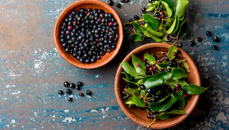 Exotic Fruits of Chile: What to Taste When Traveling