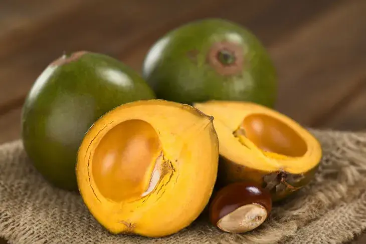 Fruta lúcuma, ingrediente tradicional das sobremesas chilenas