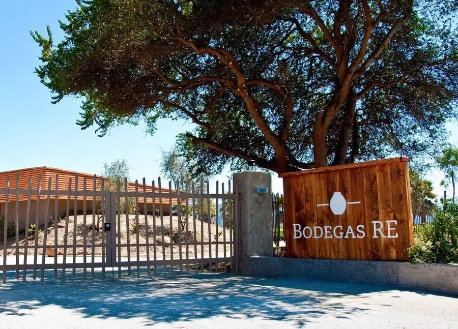 Viña Bodegas RE en el Valle de Casablanca