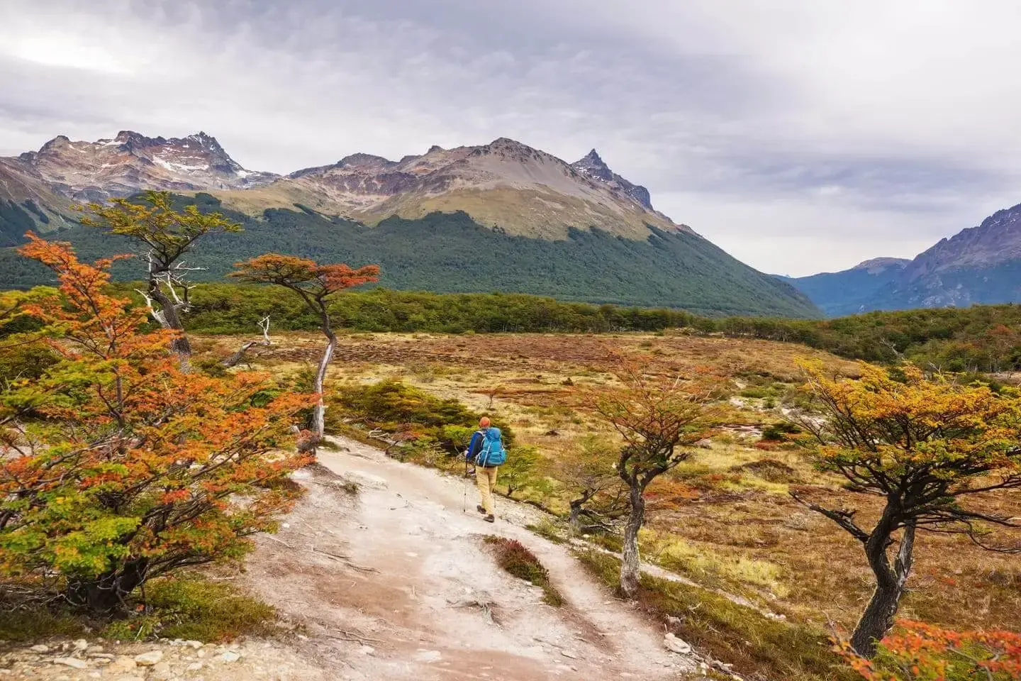 Sendero Ferrier en Torres del Paine