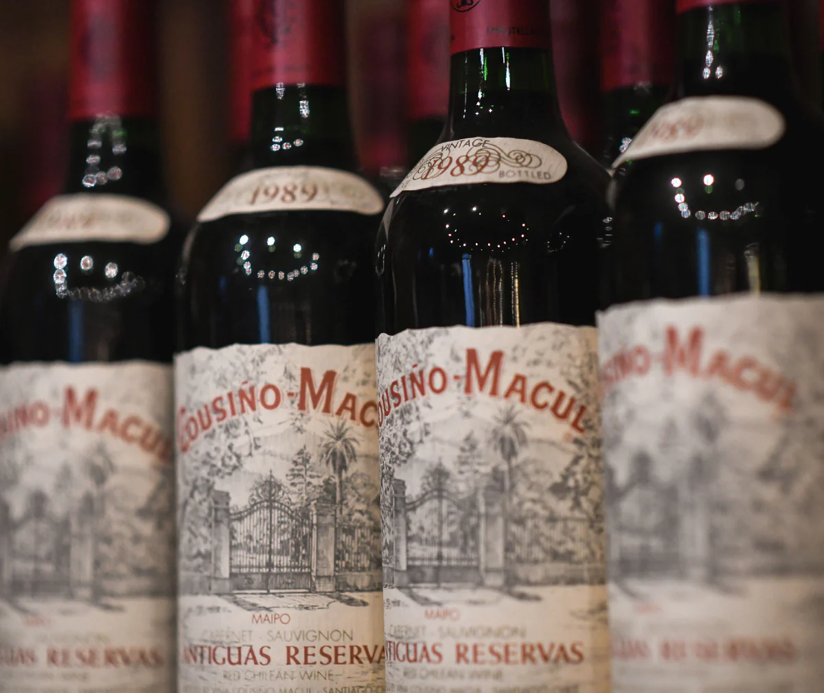 Cousino Macul winery in Santiago