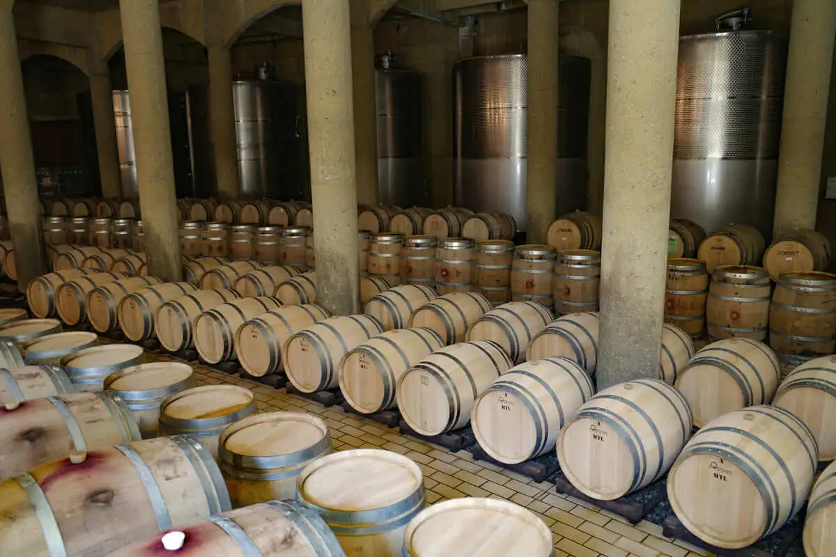 Wine tasting experience in the Maipo wine region