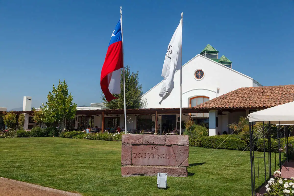 Casas del Bosque winery in Casablanca Valley visited on a Chile shore excursion