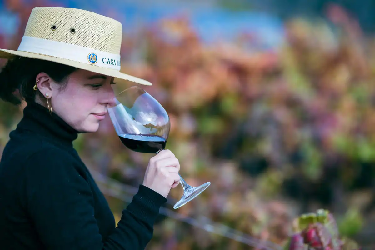 Casa Marín Winery in Lo Abarca, San Antonio Valley, Chile