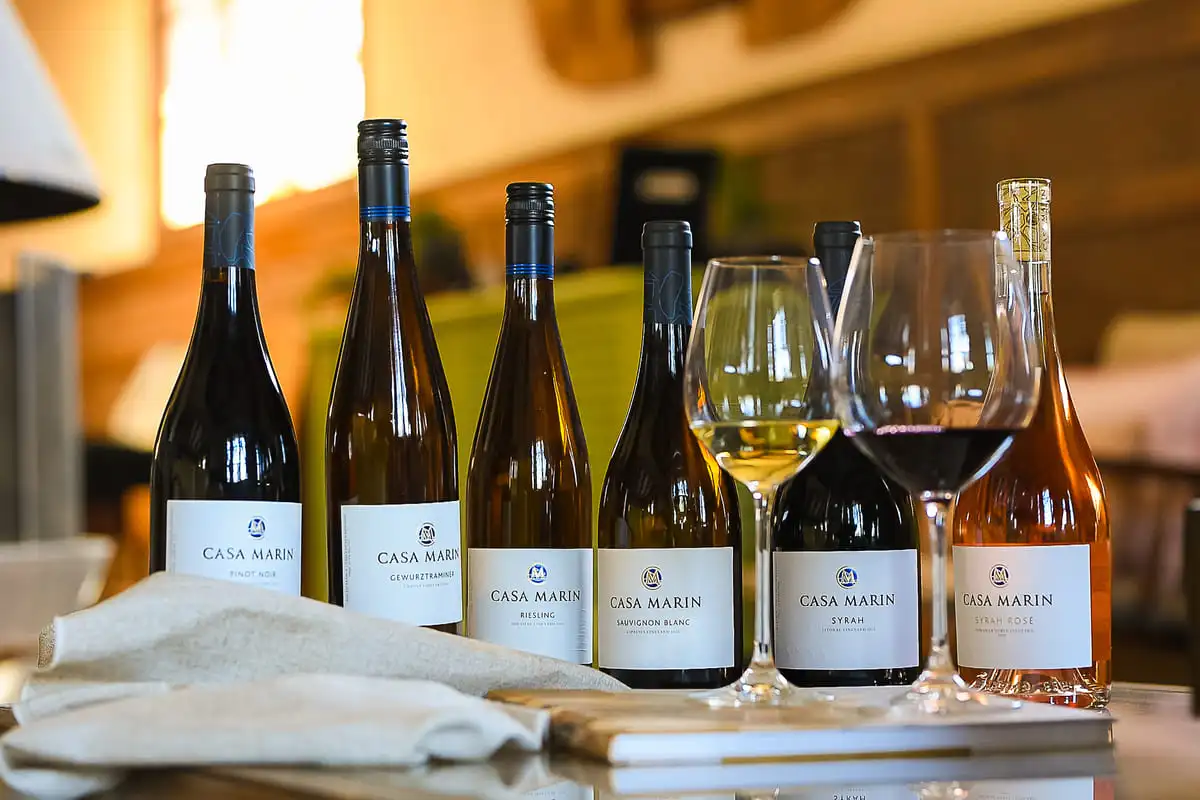 Wine tasting at Casa Marín Winery in Lo Abarca, Chile