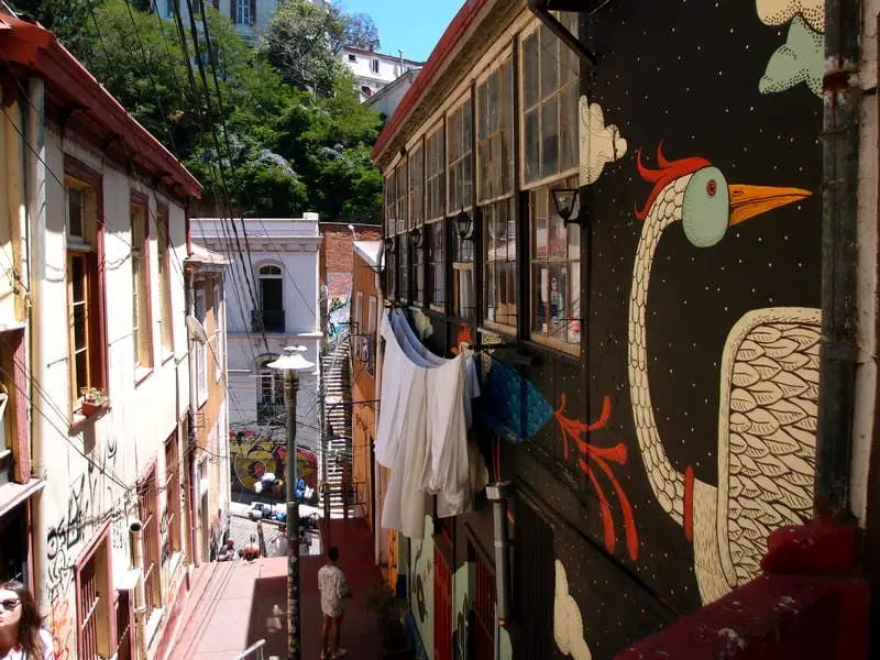 Private walking tour in Valparaíso during cruise stop