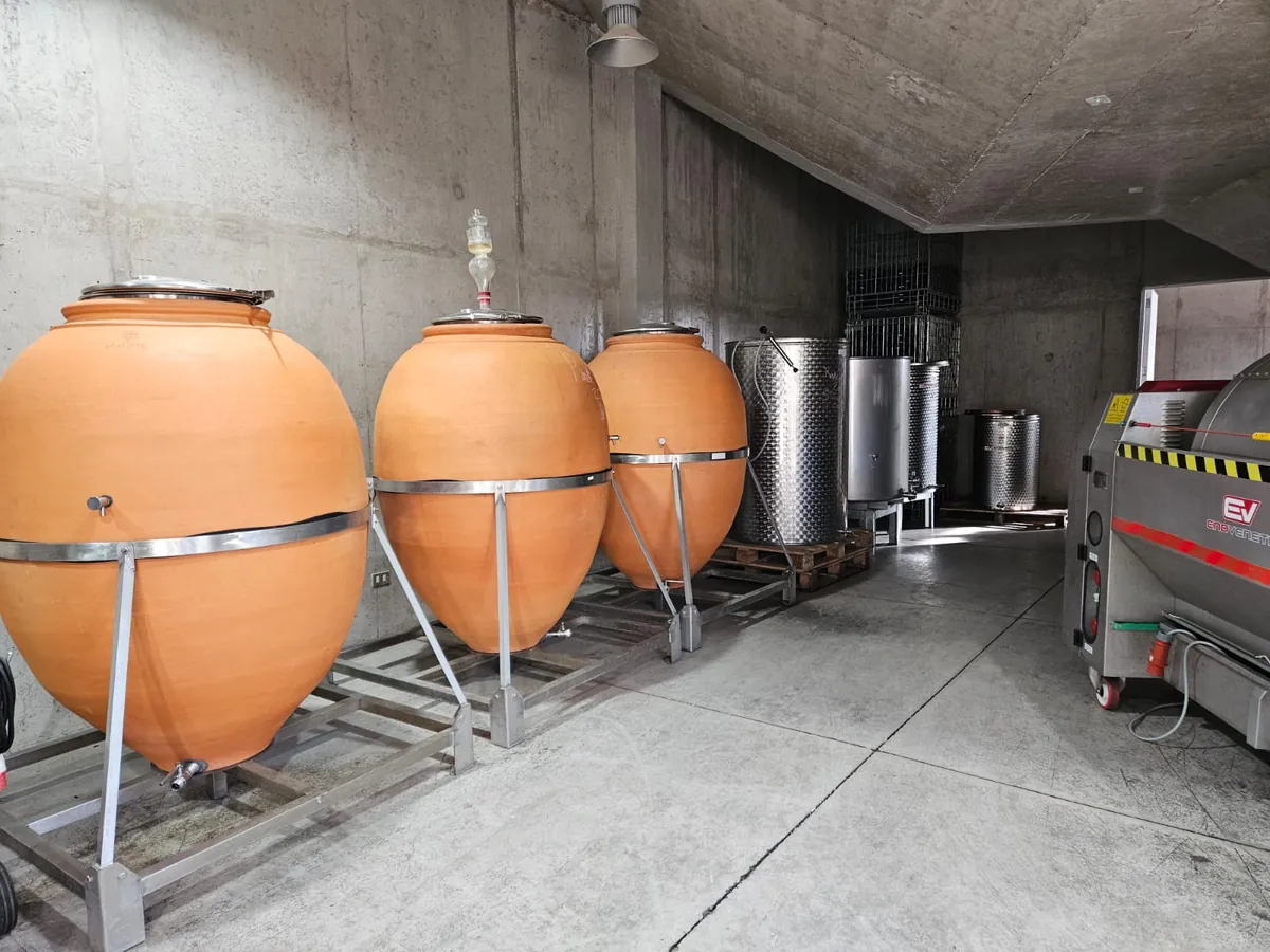 Clay amphorae and steel tanks in the cellar at Hacienda San Juan winery