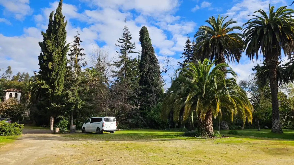 Historic park at Hacienda San Juan with old palms and conifers planted in the 19th century