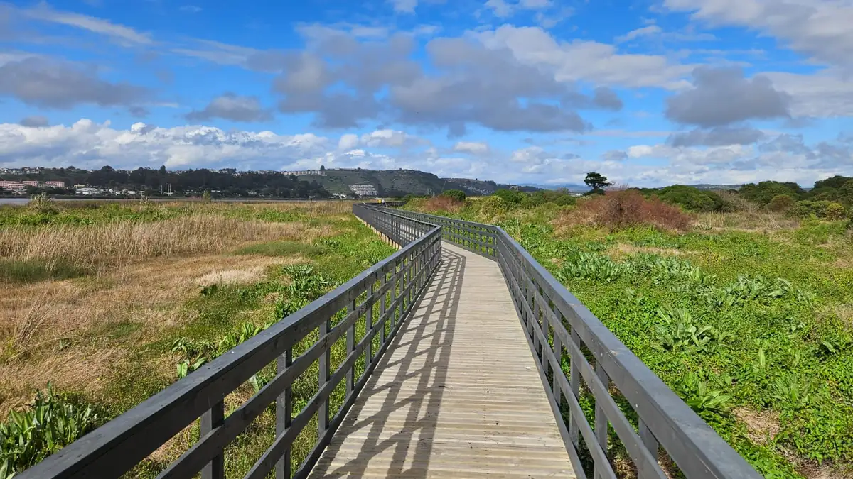 Wooden boardwalk crossing the Río Maipo Wetland near the San Antonio cruise port