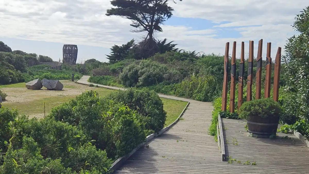 Trail through reed beds and dunes in the Río Maipo Wetland park