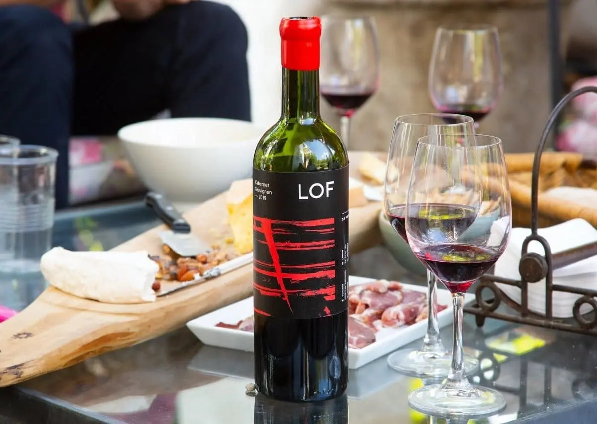 Vinos Lof Vineyard in Maipo Valley, Chile