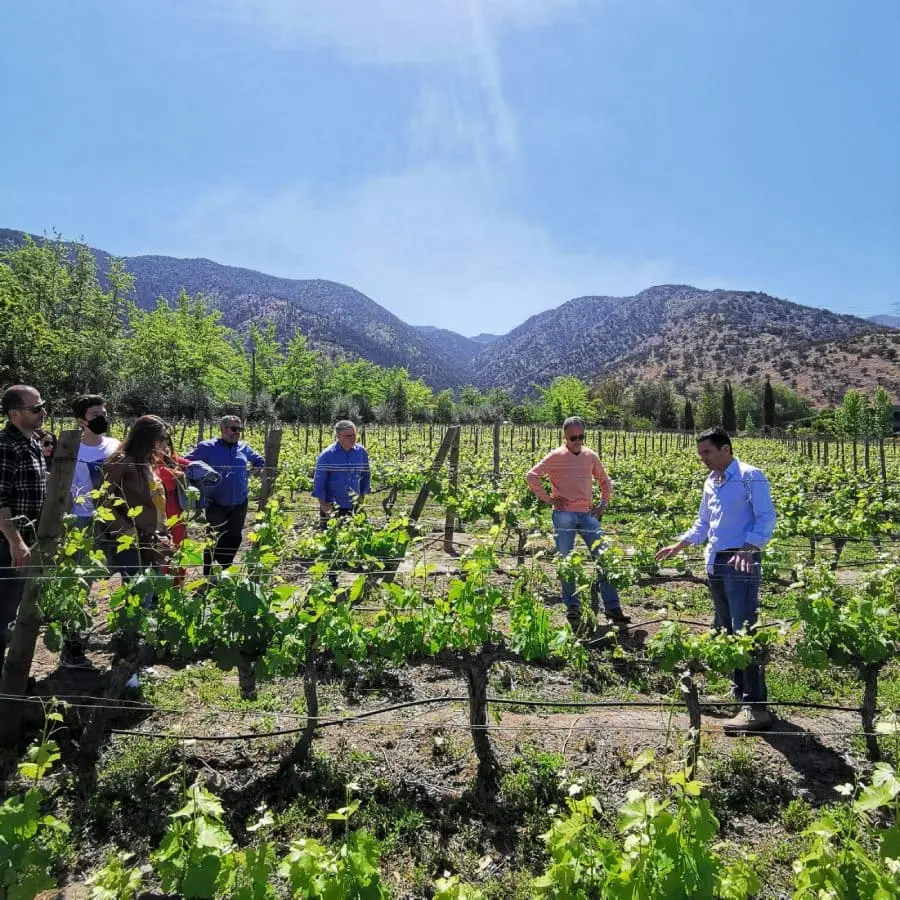 Maipo Valley Wine Tour at Vinos Lof