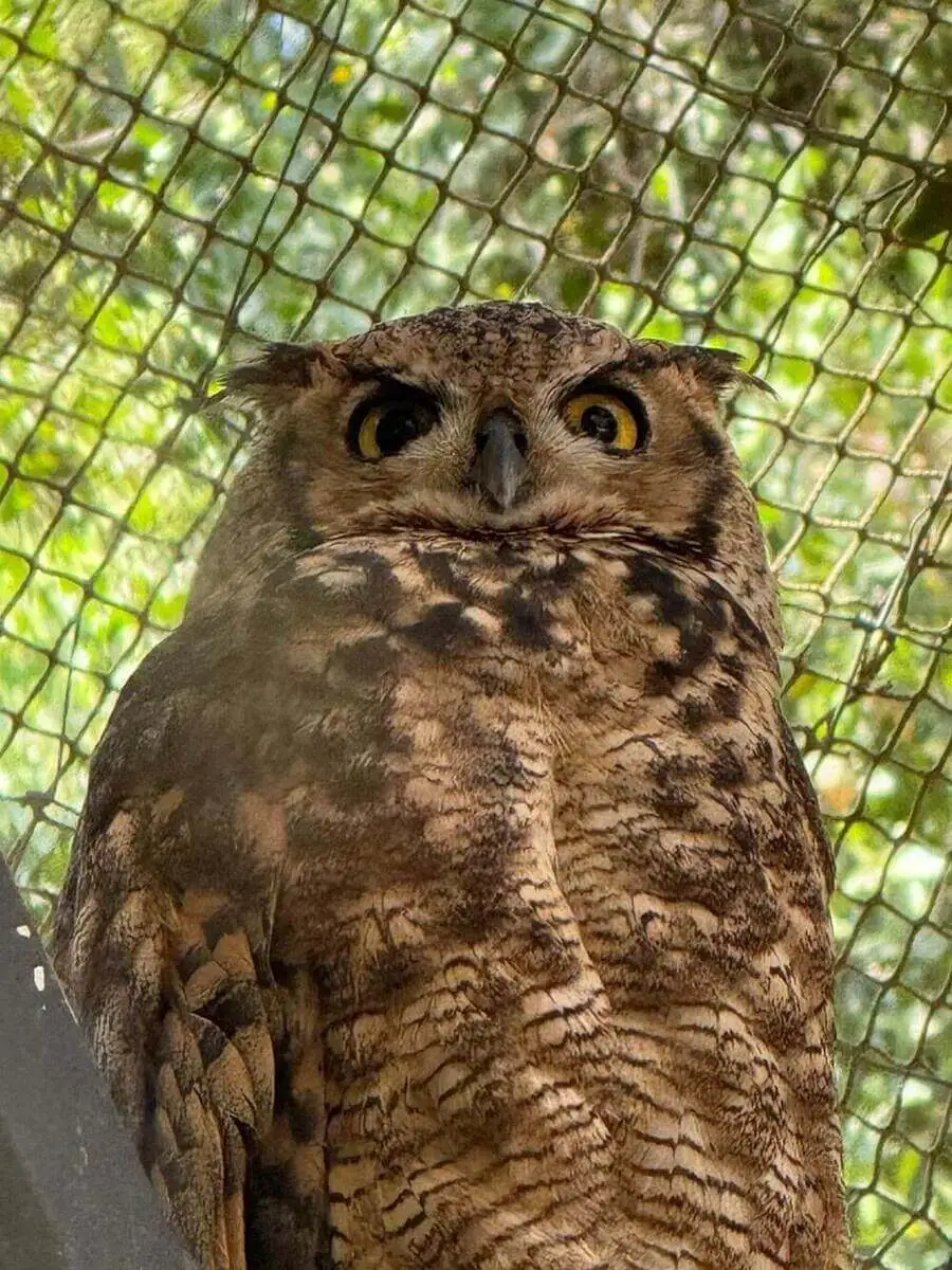 Bird rescue exhibit at Refugio Animal Cascada inside Cascada de las Ánimas Nature Sanctuary