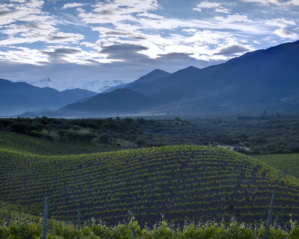 Exterior of Casa Silva winery during a Colchagua Valley wine tour