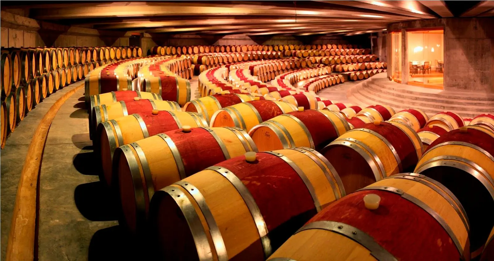Full-day tour of the Colchagua Valley wine region