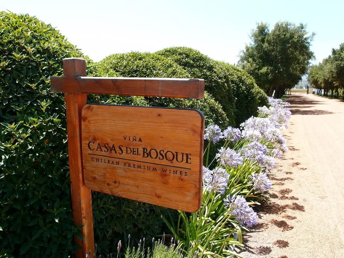 Viñedos de Casas del Bosque en el Valle de Casablanca