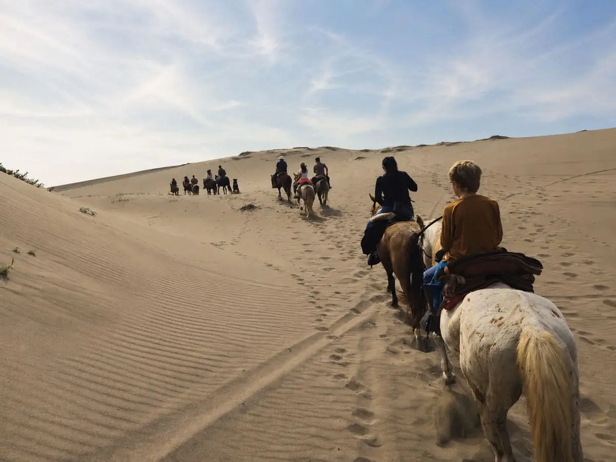 Tour de día por las dunas abiertas de Ritoque cerca de Valparaíso