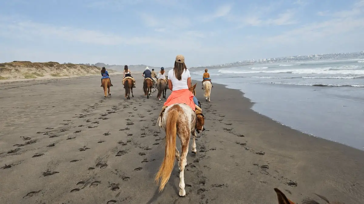 Dunas de Ritoque con amplias vistas al Océano Pacífico