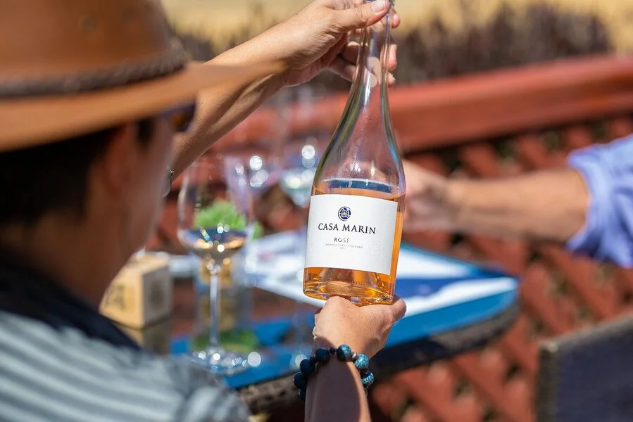 Private wine tour to Casa Marin in Isla Negra, Chile