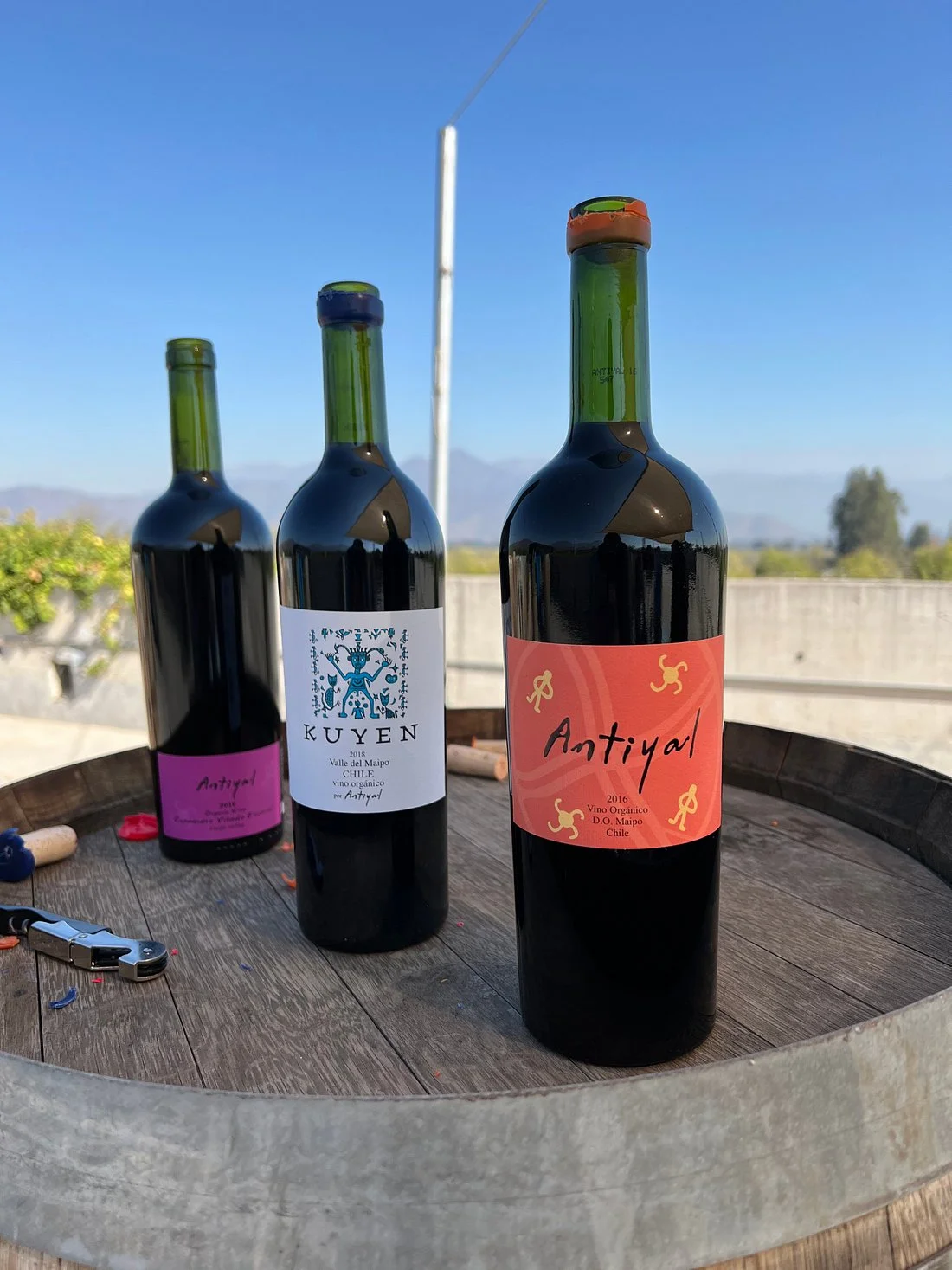 Antiyal Wine Tour in Maipo Valley, Chile