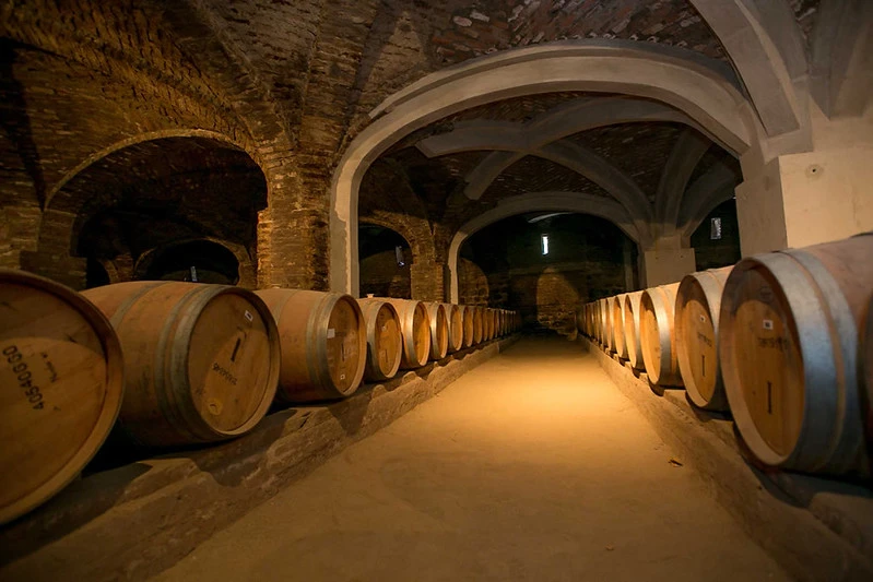 Maipo Valley Wine Tour from Santiago, Chile