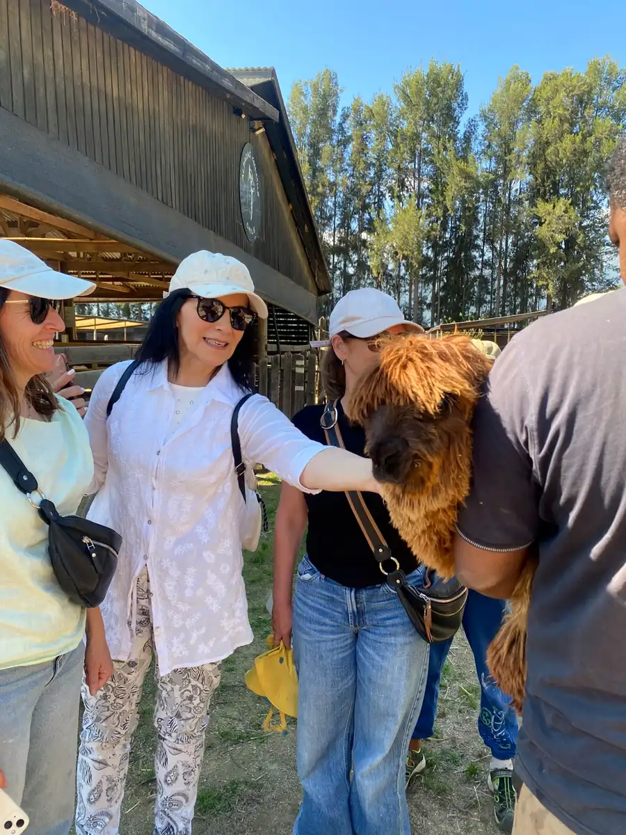 Family group meeting a brown alpaca on the farm tour