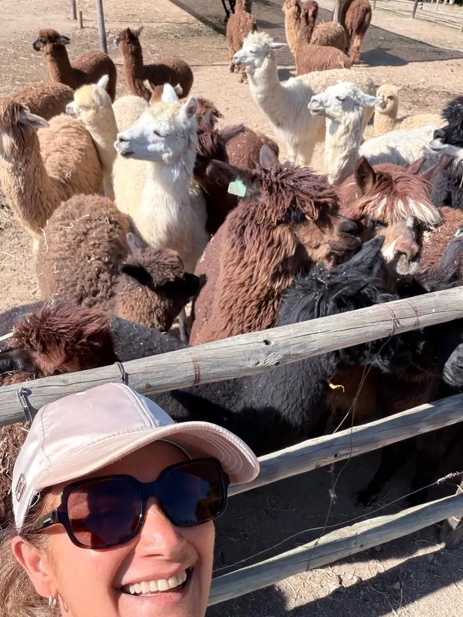 Selfie with a herd of alpacas at the farm