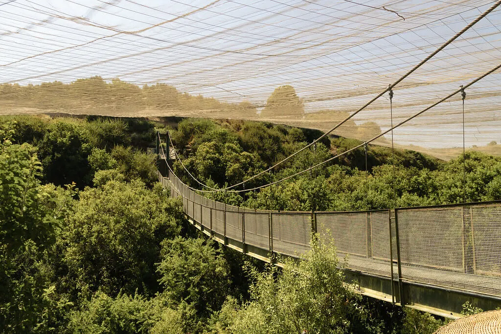View of Viña del Mar Flower Clock during a private tour to Valparaiso from Santiago