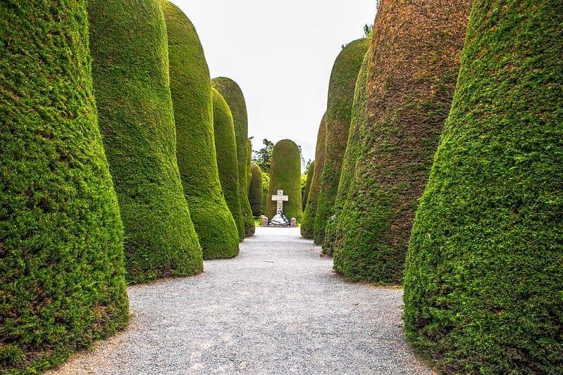 Sculpted cypress alleys of the historic Punta Arenas cemetery