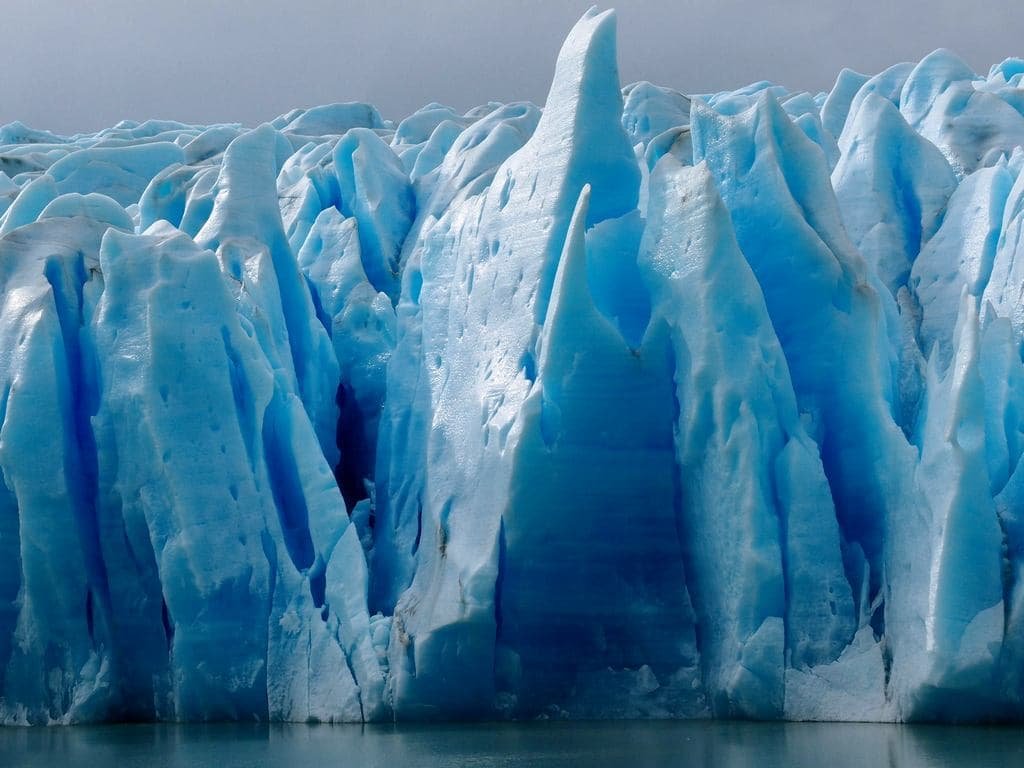 Blue ice wall of Grey Glacier rising above the water