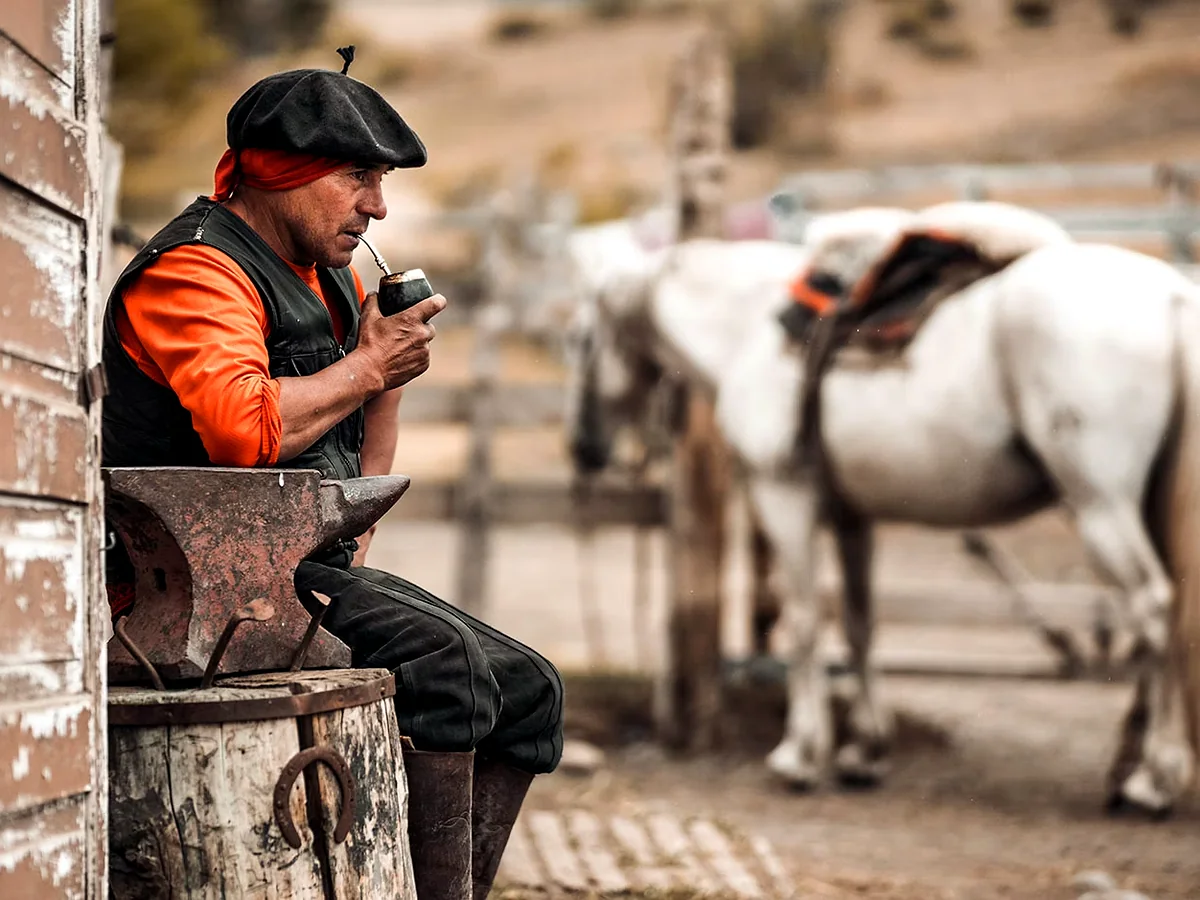 Patagonian gaucho drinking mate beside the horses at the ranch