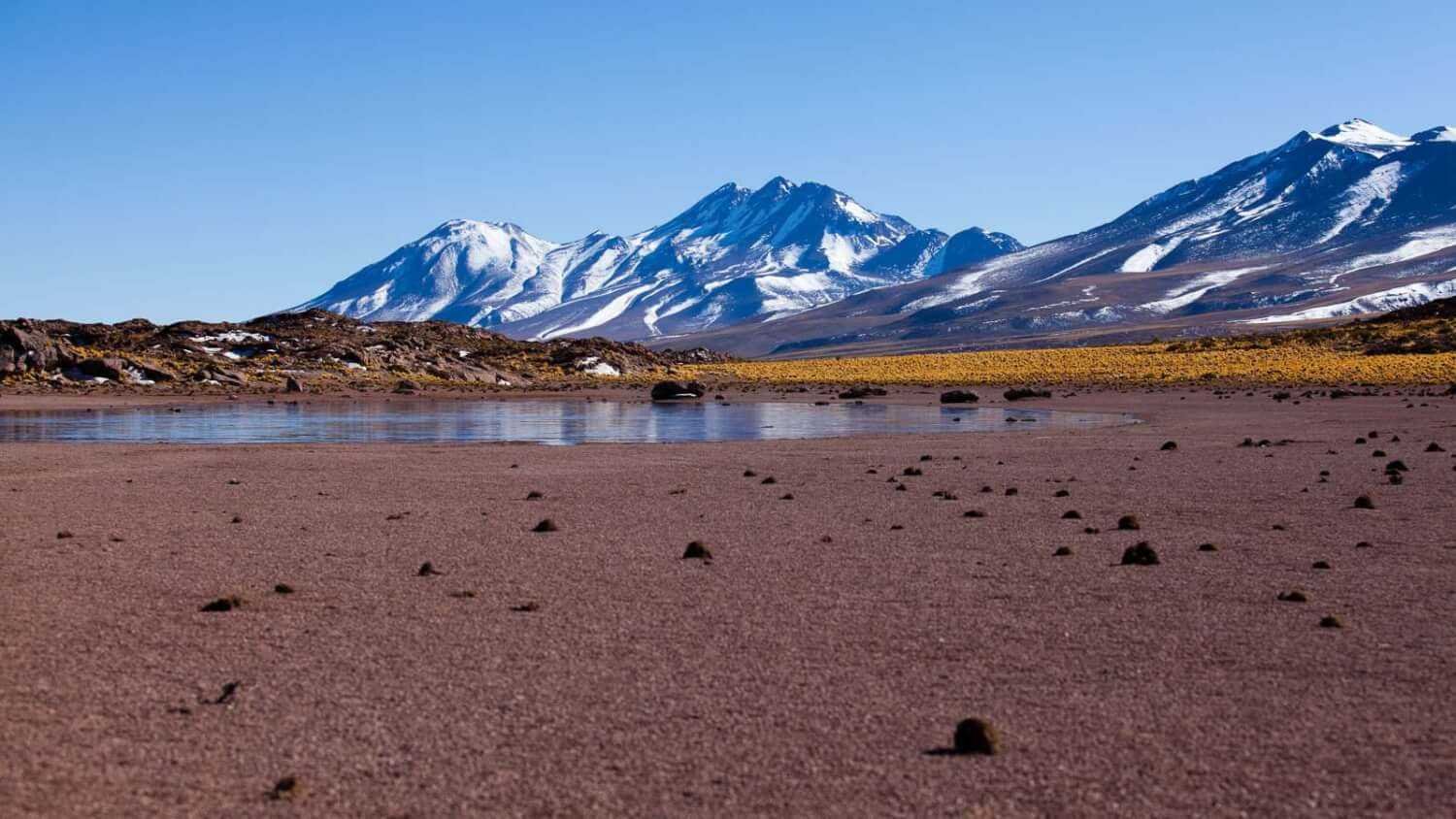 Miñiques Lagoon high on the Altiplano in Los Flamencos Reserve