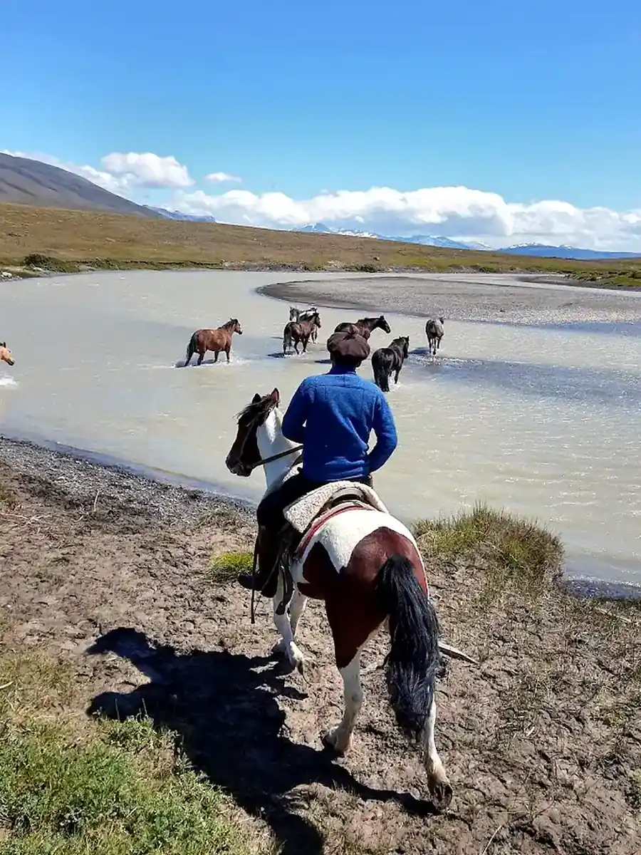 Rider watching horses cross a shallow river in the Patagonian steppe