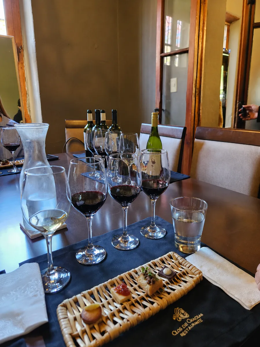 Flight of red and white wines with small appetizers at the winery tasting stop on the Valparaíso to Mendoza transfer